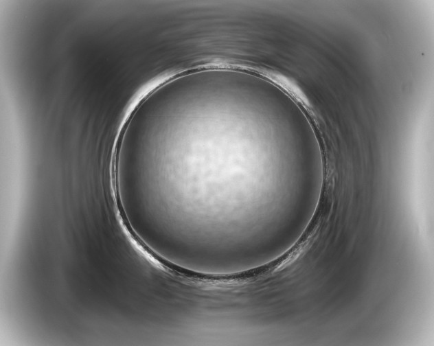 X0000085741247200703161021