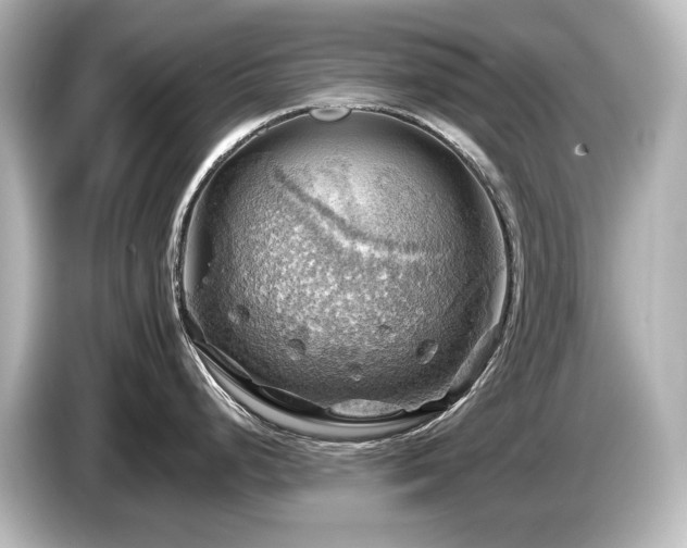 X0000085741248200703161021