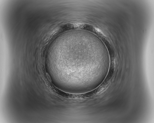 X0000085741249200703161020