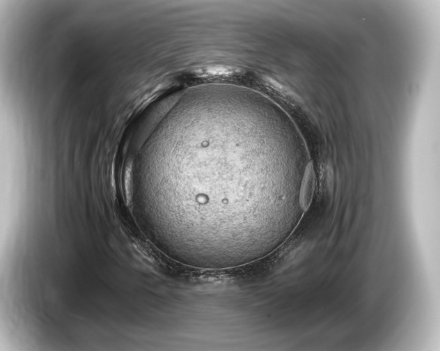 X0000085741250200703161020