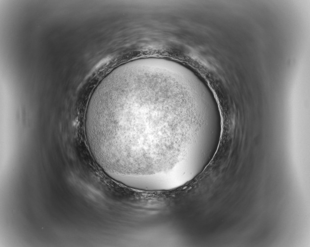X0000085741254200703161020
