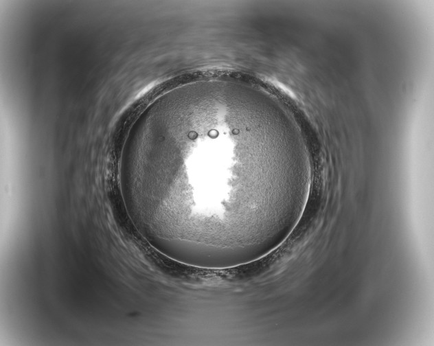 X0000085741255200703161020