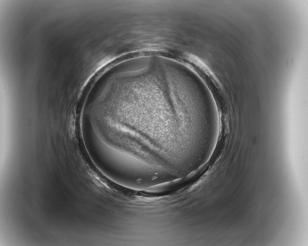 X0000085741260200703161020