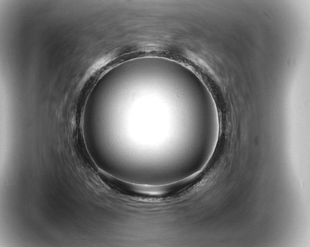 X0000085741261200703161020
