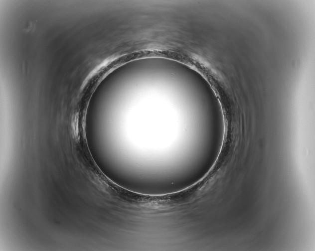 X0000085741262200703161020