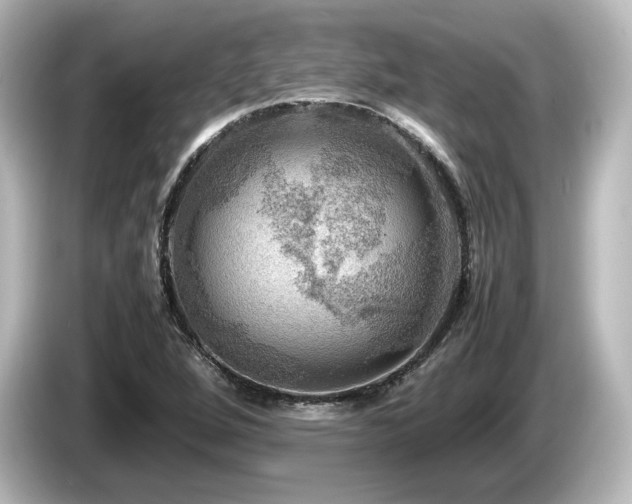 X0000085741264200703161020