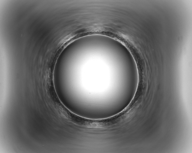 X0000085741265200703161020