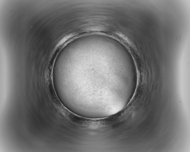 X0000085741266200703161020