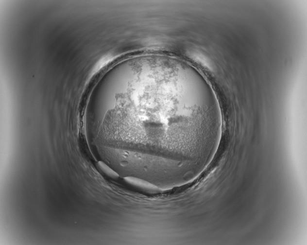 X0000085741267200703161020