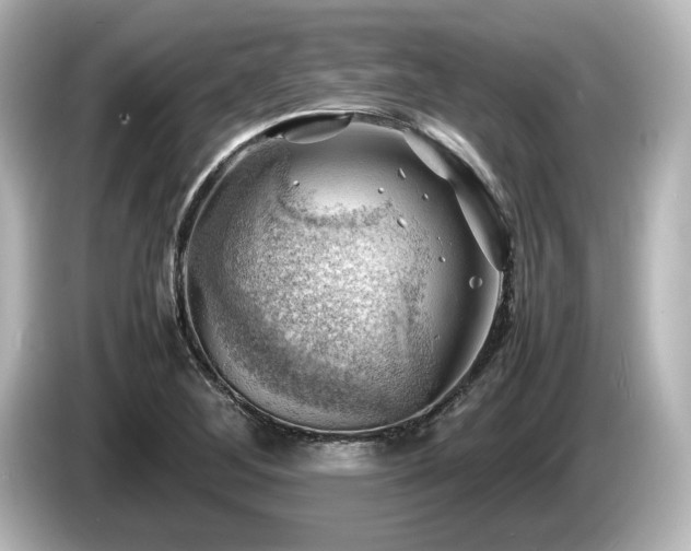X0000085741268200703161020