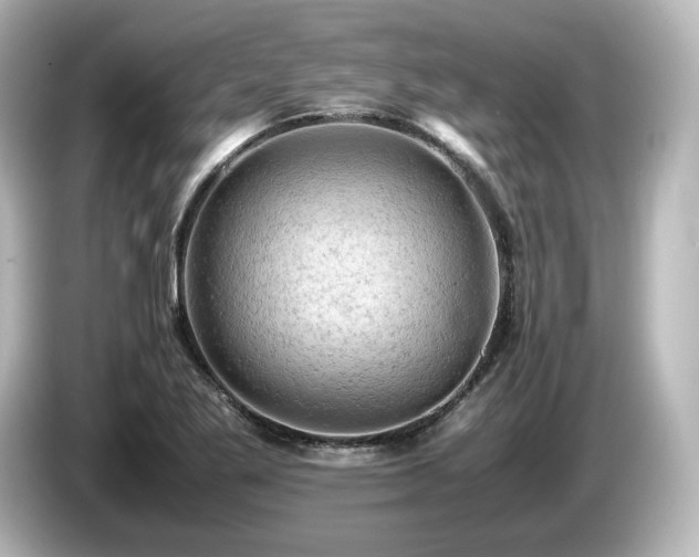 X0000085741269200703161020