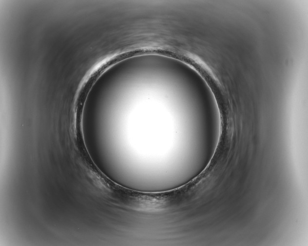 X0000085741270200703161020