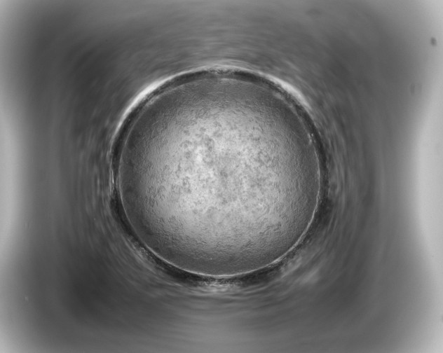 X0000085741271200703161020