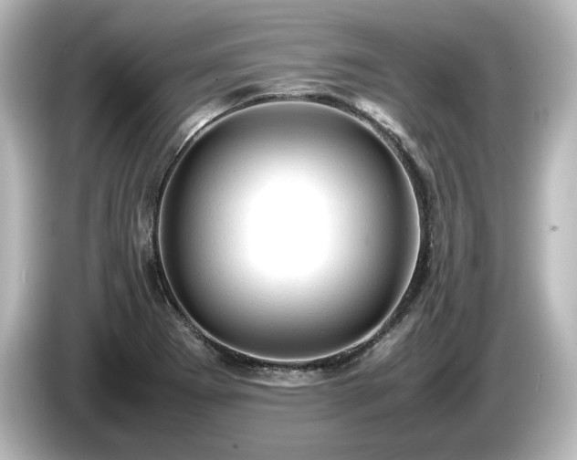 X0000085741273200703161019