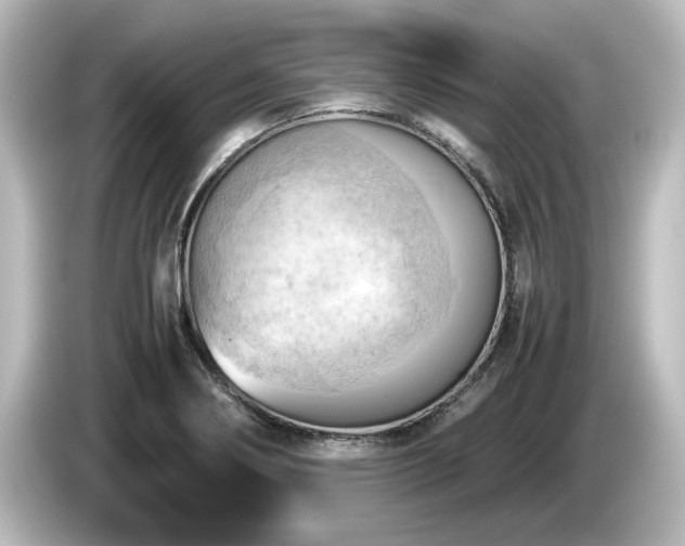 X0000085741274200703161019
