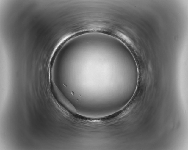 X0000085741275200703161019