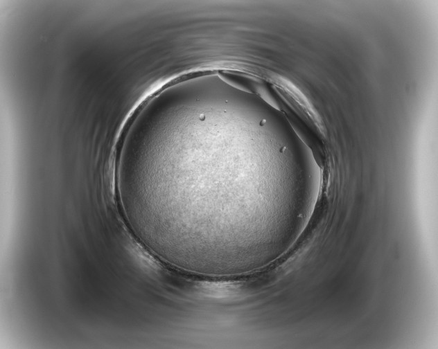 X0000085741276200703161019