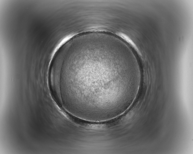 X0000085741277200703161019