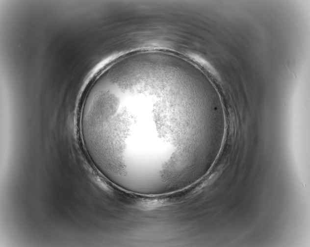X0000085741278200703161019
