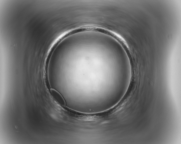 X0000085741279200703161019