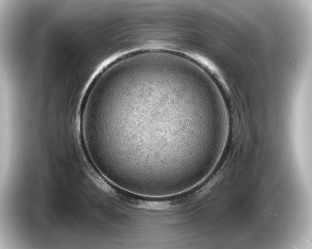 X0000085741280200703161019