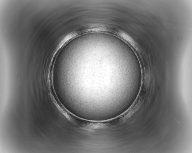 X0000085741282200703161019