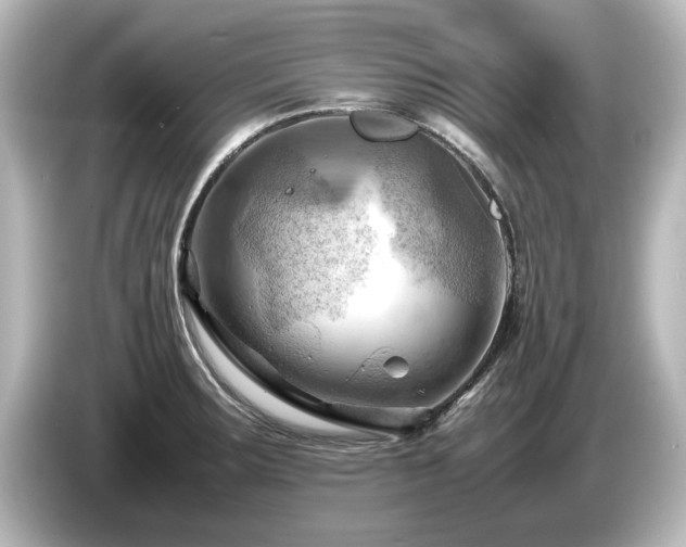 X0000085741283200703161019