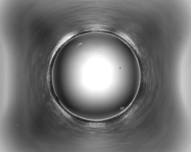 X0000085741285200703161019