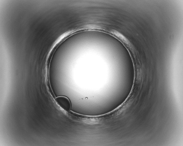 X0000085741286200703161019