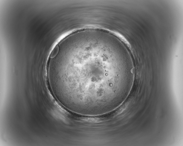 X0000085741287200703161019