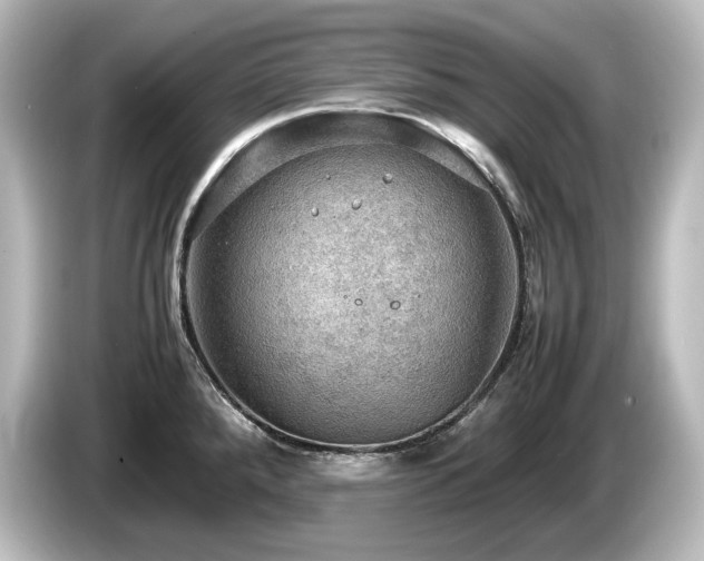 X0000085741288200703161019