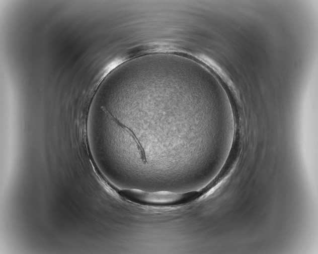 X0000085741289200703161019