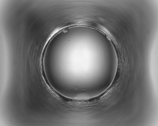 X0000085741291200703161019