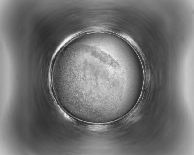 X0000085741294200703161019