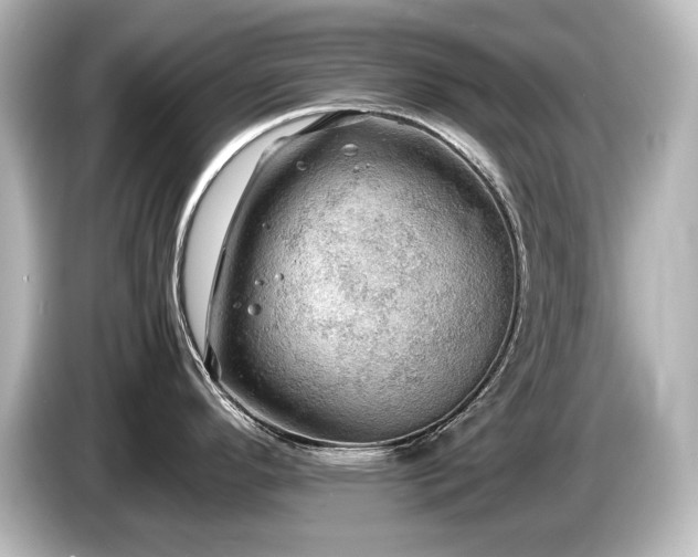 X0000085741296200703161019