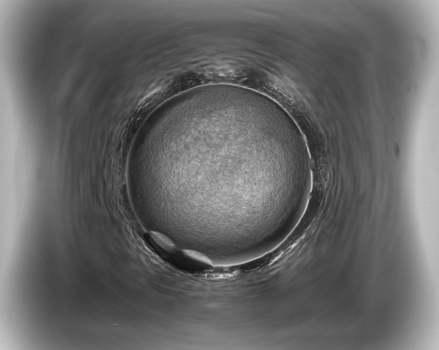 X0000085741297200703161018