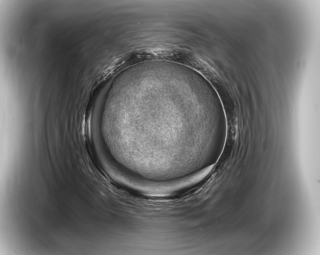 X0000085741298200703161019