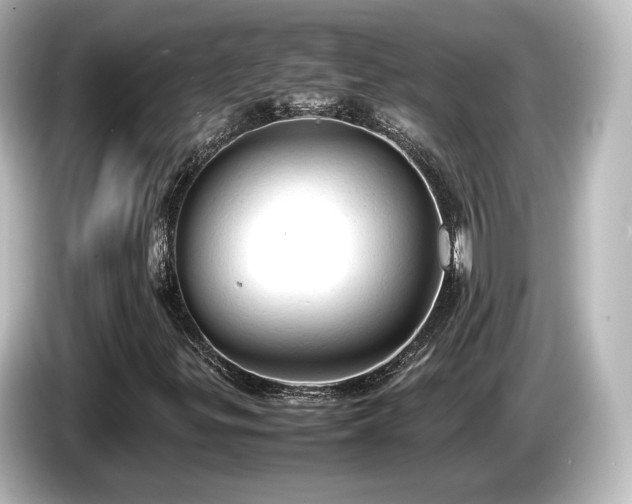 X0000085741299200703161019