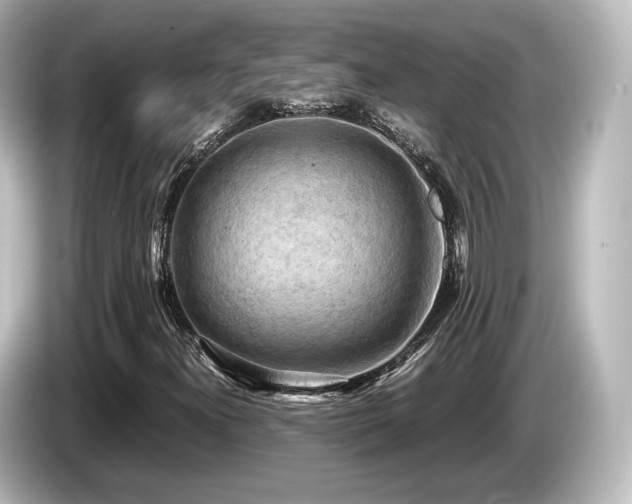 X0000085741300200703161019
