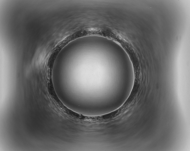 X0000085741301200703161019