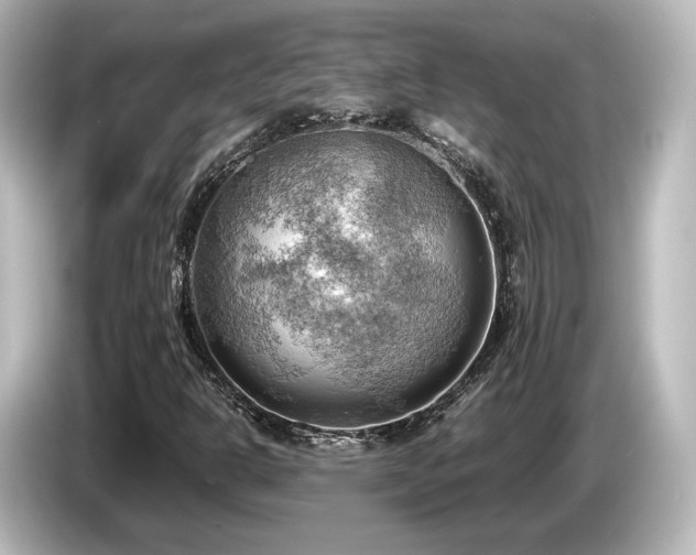 X0000085741302200703161019