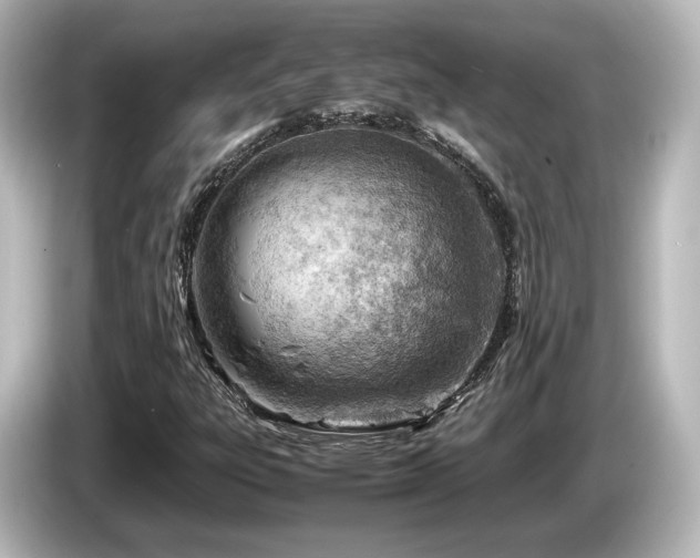 X0000085741303200703161019