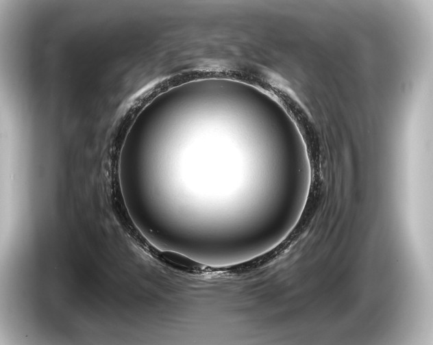 X0000085741304200703161019