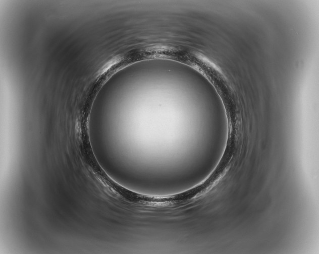X0000085741305200703161019