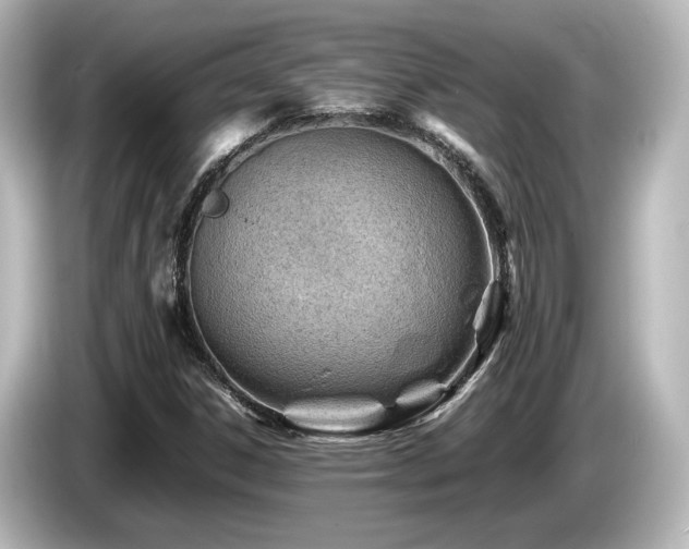 X0000085741306200703161019