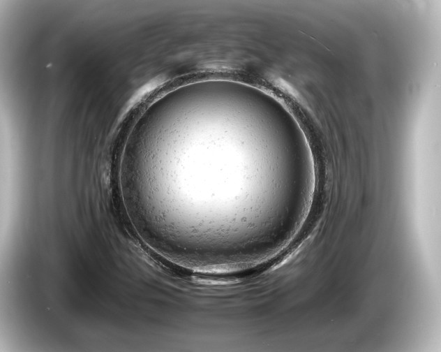 X0000085741307200703161019
