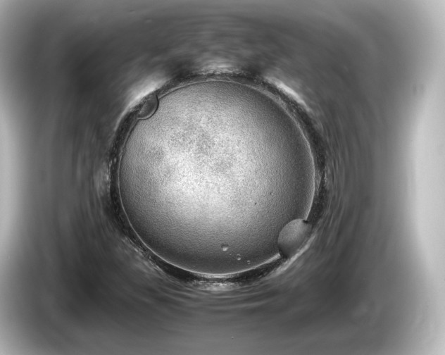 X0000085741309200703161019
