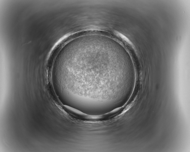 X0000085741310200703161019