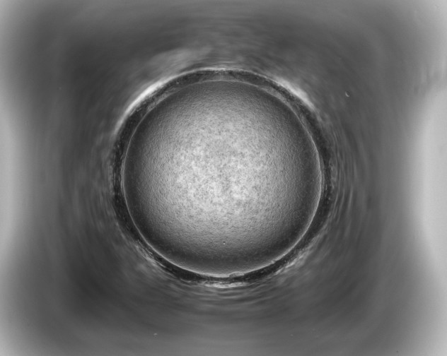 X0000085741311200703161019