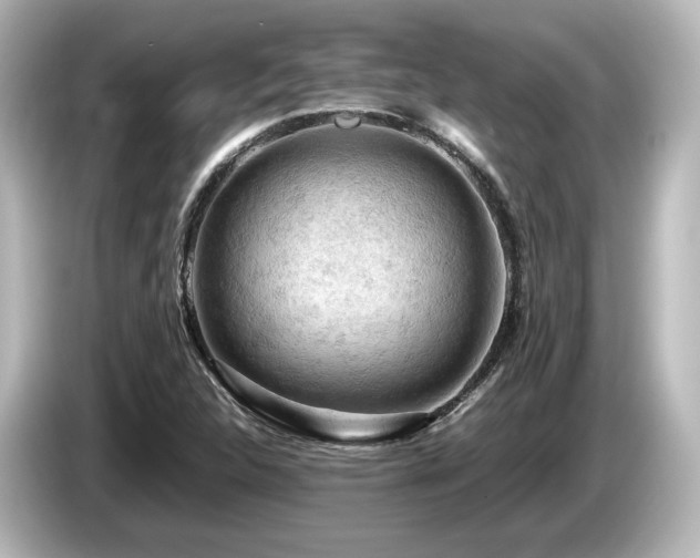 X0000085741312200703161019